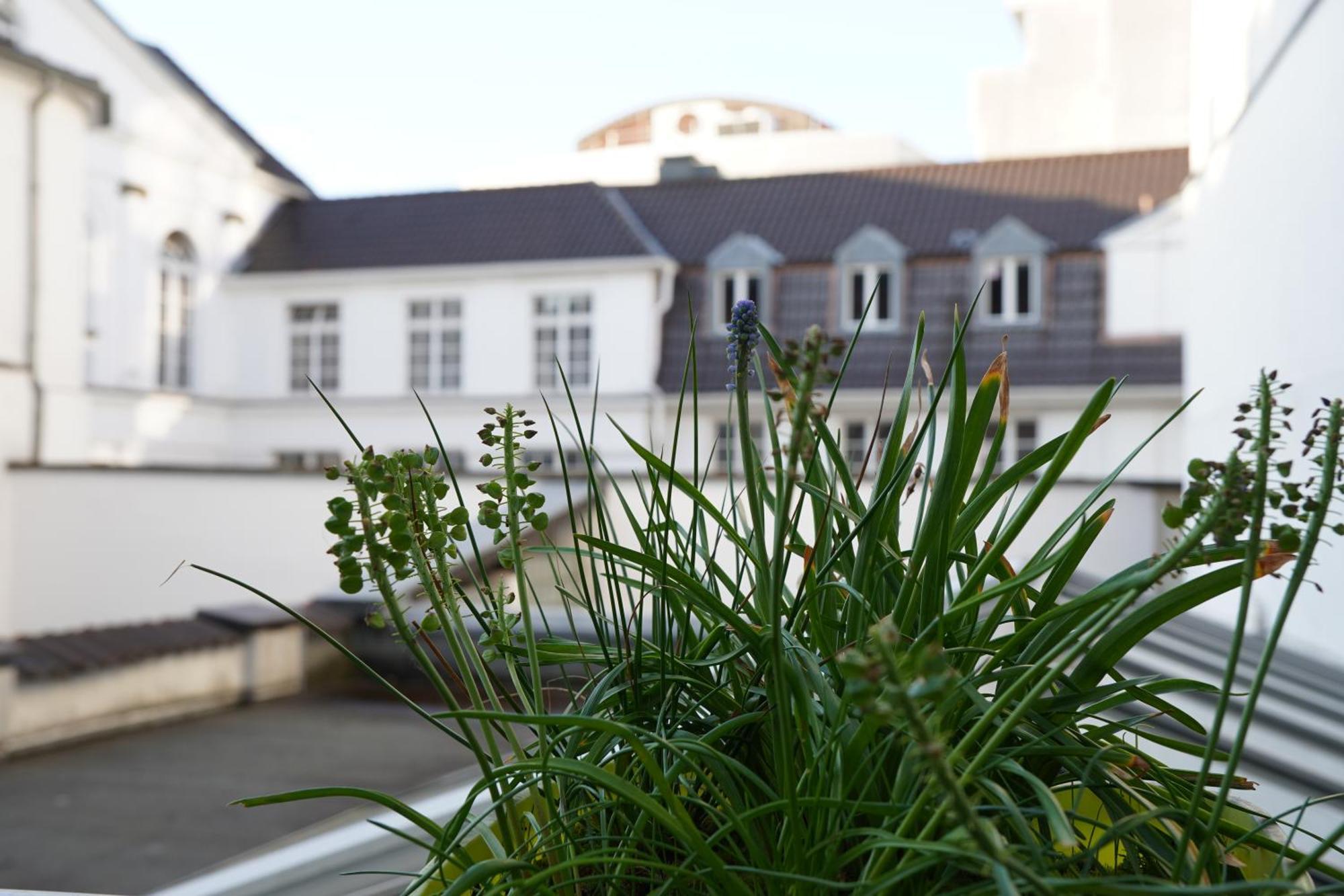 Bright, Spacious Apartment With A Lovely Terrace In The Heart Of Aachen Exterior photo